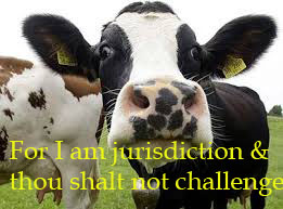 cow2